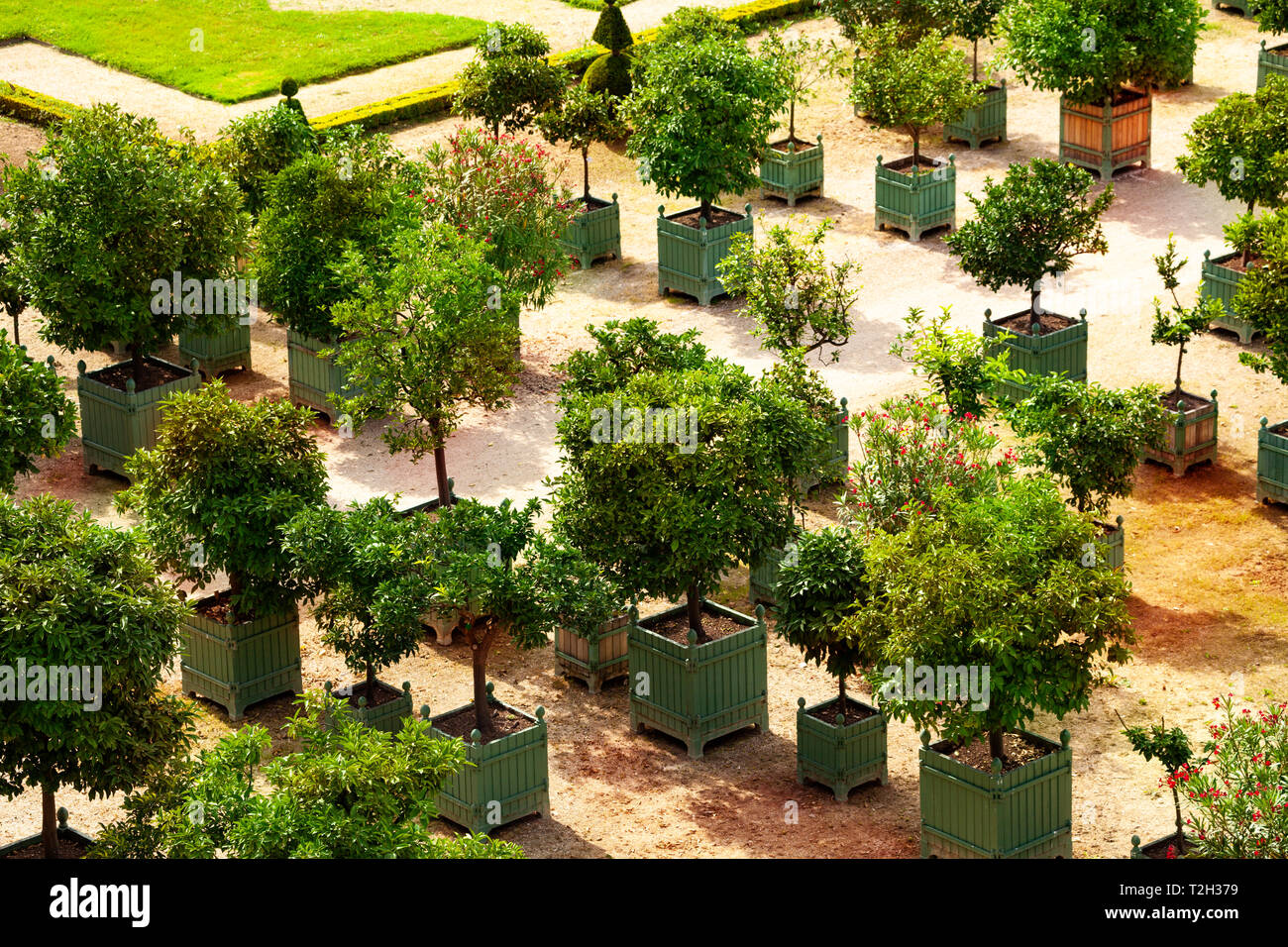Oben Ansicht Des Schlosses Von Versailles Garten Mit