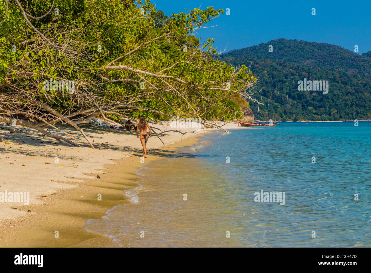 Februar 2019. Ko Lipe Tarutao National Marine Park Thailand. Eine Ansicht der in Ko Lipe Tarutao National Marine Park Thailand Stockfoto