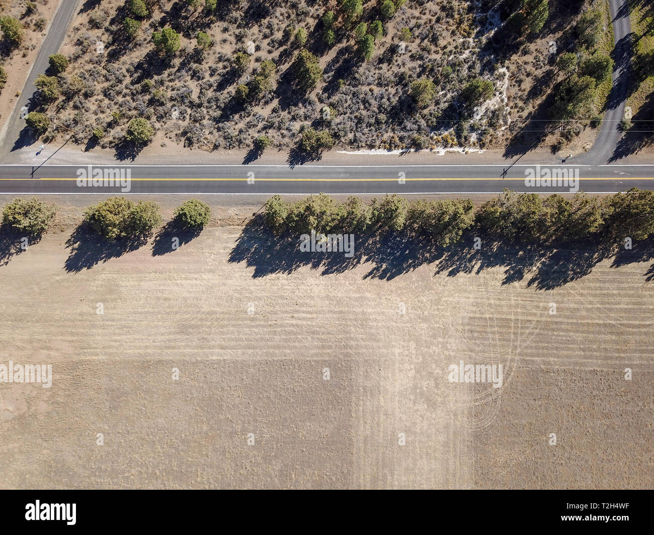 Eine Straße und ein Feld durch eine Reihe von Bäumen getrennt Stockfoto