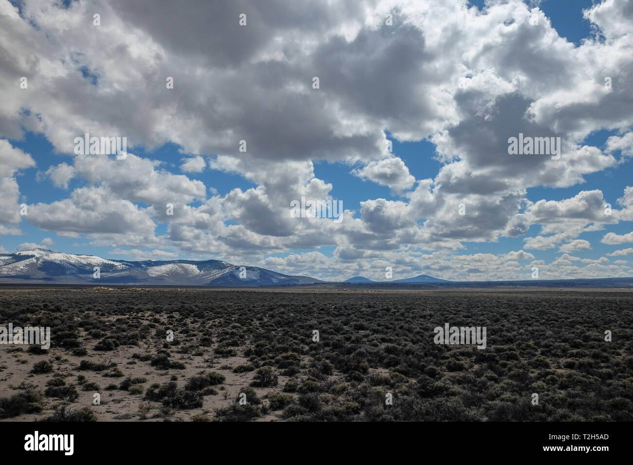 Sagebrush in der hohen Wüste Tal auf einer leicht bewölkt Tag Stockfoto