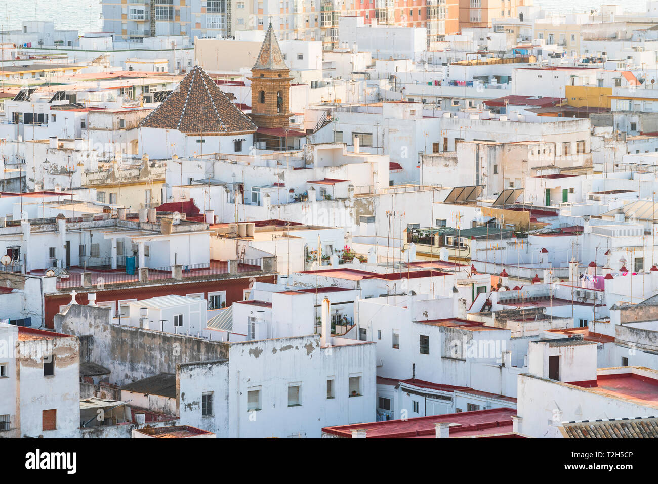 Blick vom Torre Tavira weißer Häuser in Cadiz, Spanien, Europa Stockfoto