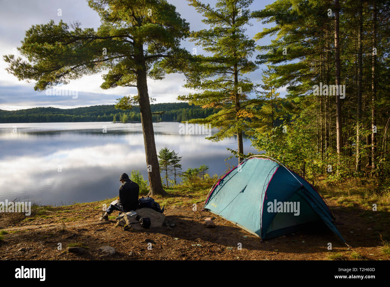 Wanderer camping, indem See in Algonquin Provincial Park, Ontario, Kanada, Nordamerika Stockfoto