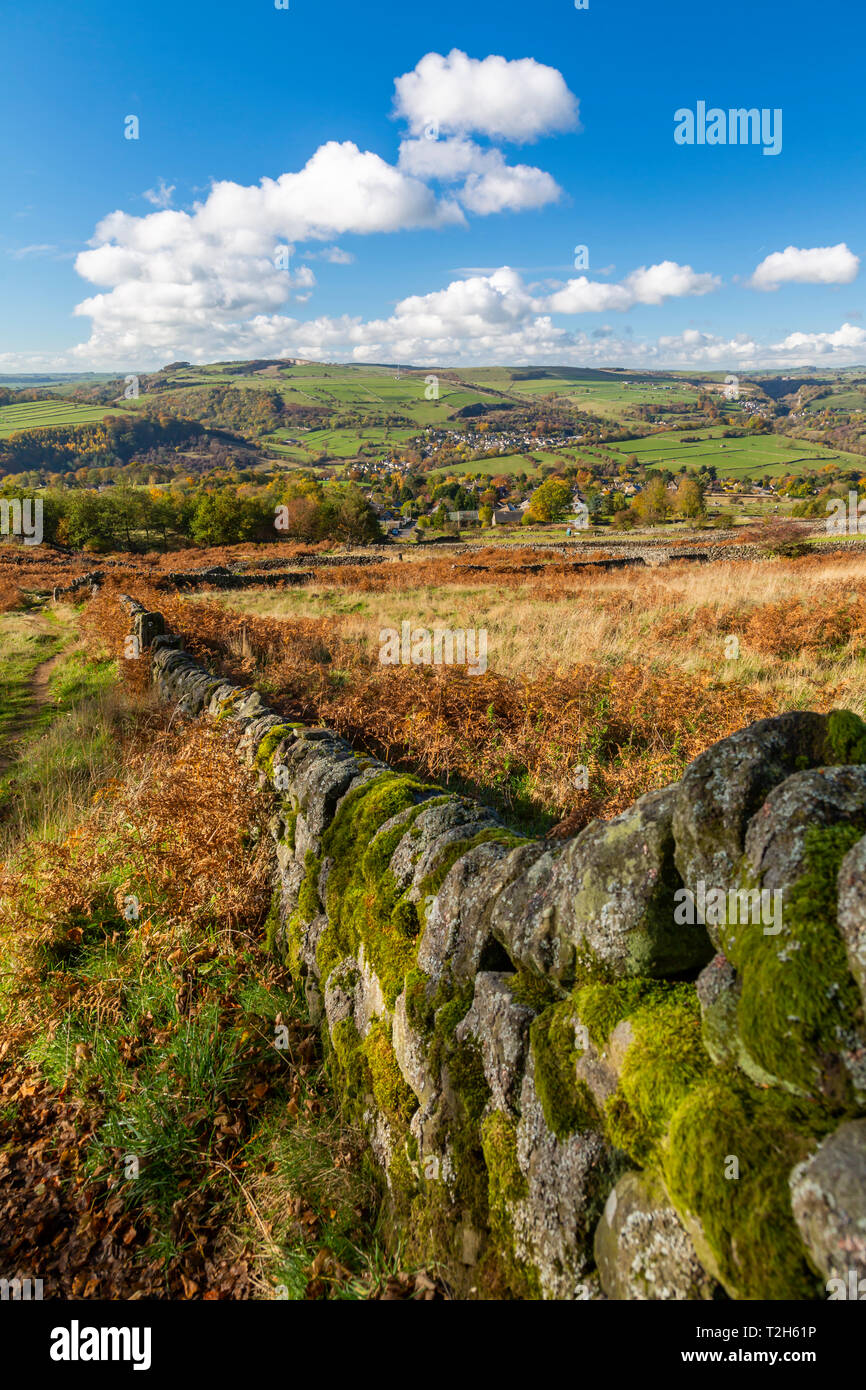Steinmauer durch das Feld von Calver im Peak District National Park, England, Europa Stockfoto