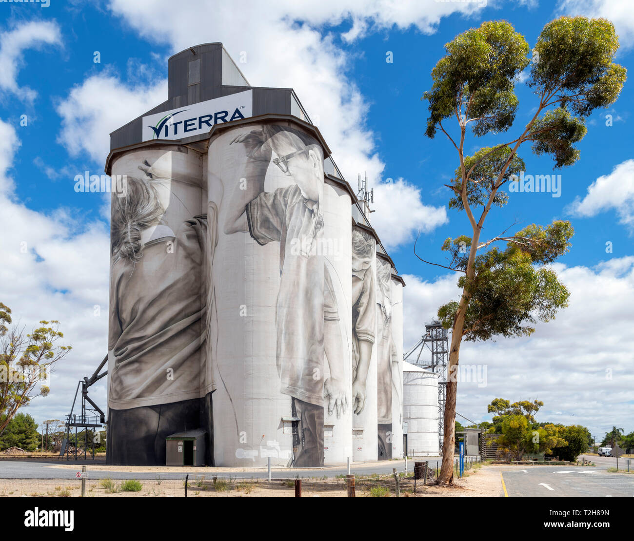 Coonalpyn Silo Wandbild. Hoffnung für die Zukunft Wandbild von Guido Van Halten, Coonalpyn, South Australia, Australien Stockfoto