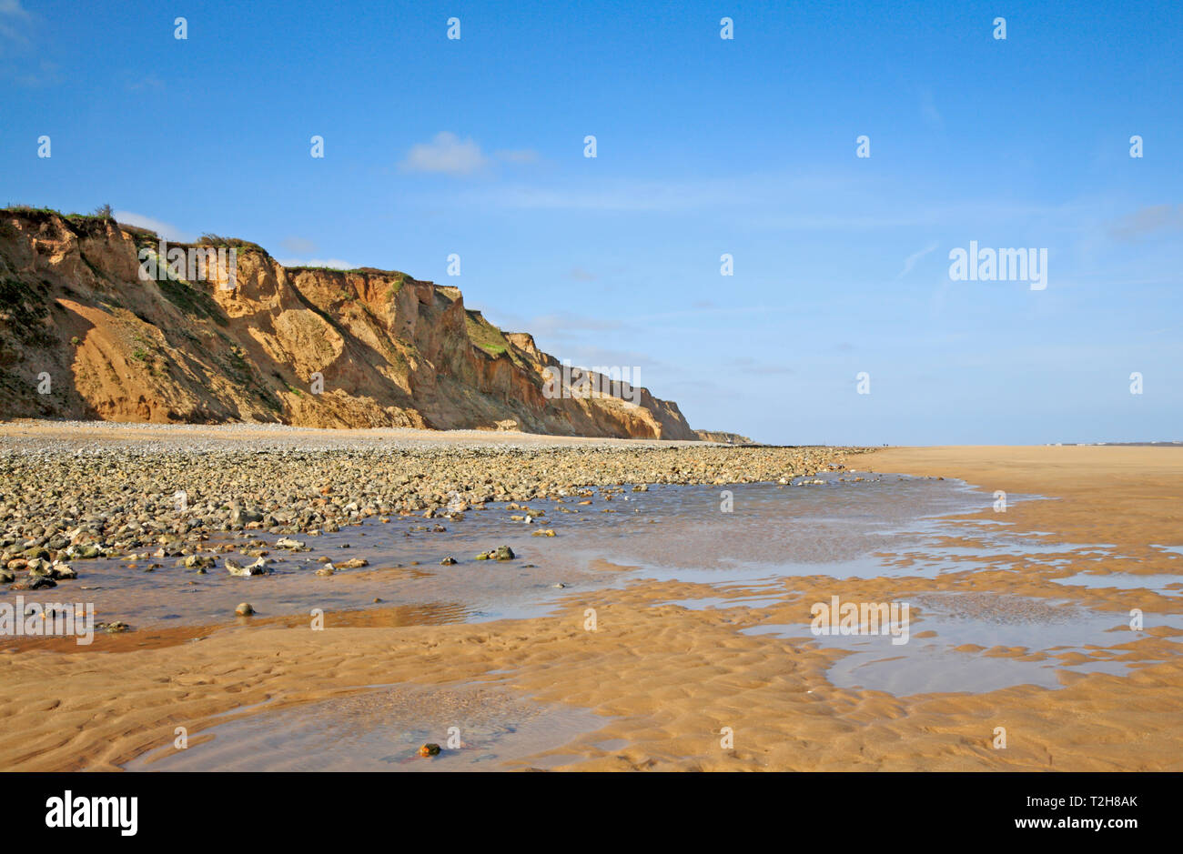 Ein Blick auf die Küsten mit Klippen von glazialen Sanden auf dem North Norfolk Coast im Osten Runton, Norfolk, England, Vereinigtes Königreich, Europa. Stockfoto