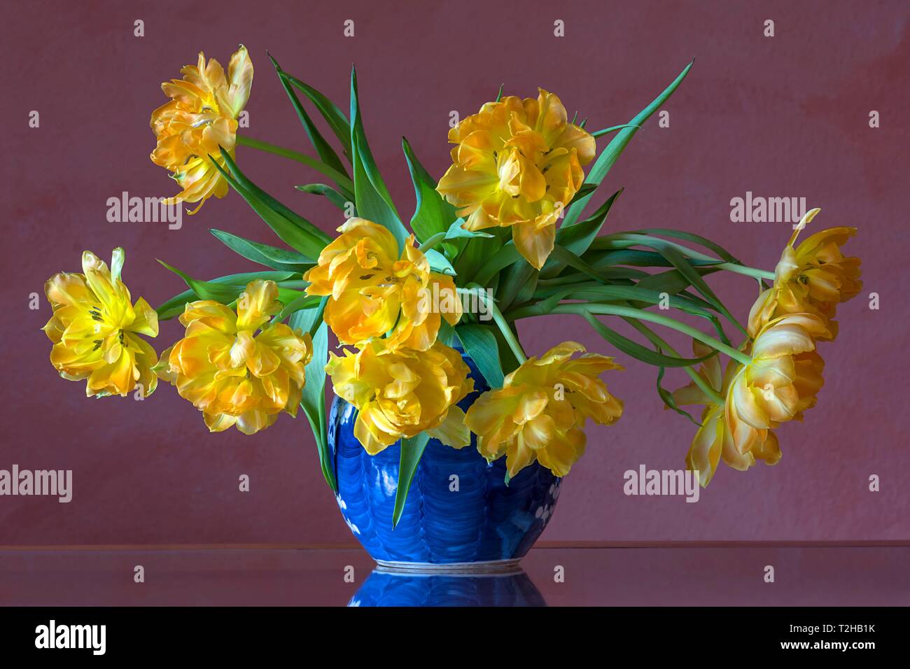 Seite und a hoher - in 2 Flowers Auflösung -Bildmaterial vase in Alamy blue - -Fotos