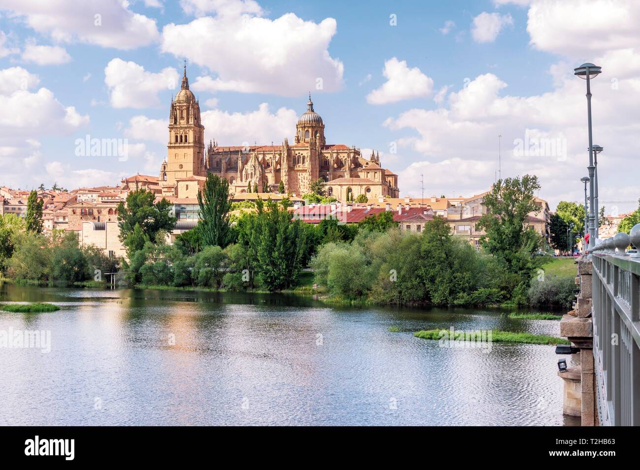 Fluss Tormes mit Dom, Salamanca, Kastilien und Leon, Spanien Stockfoto