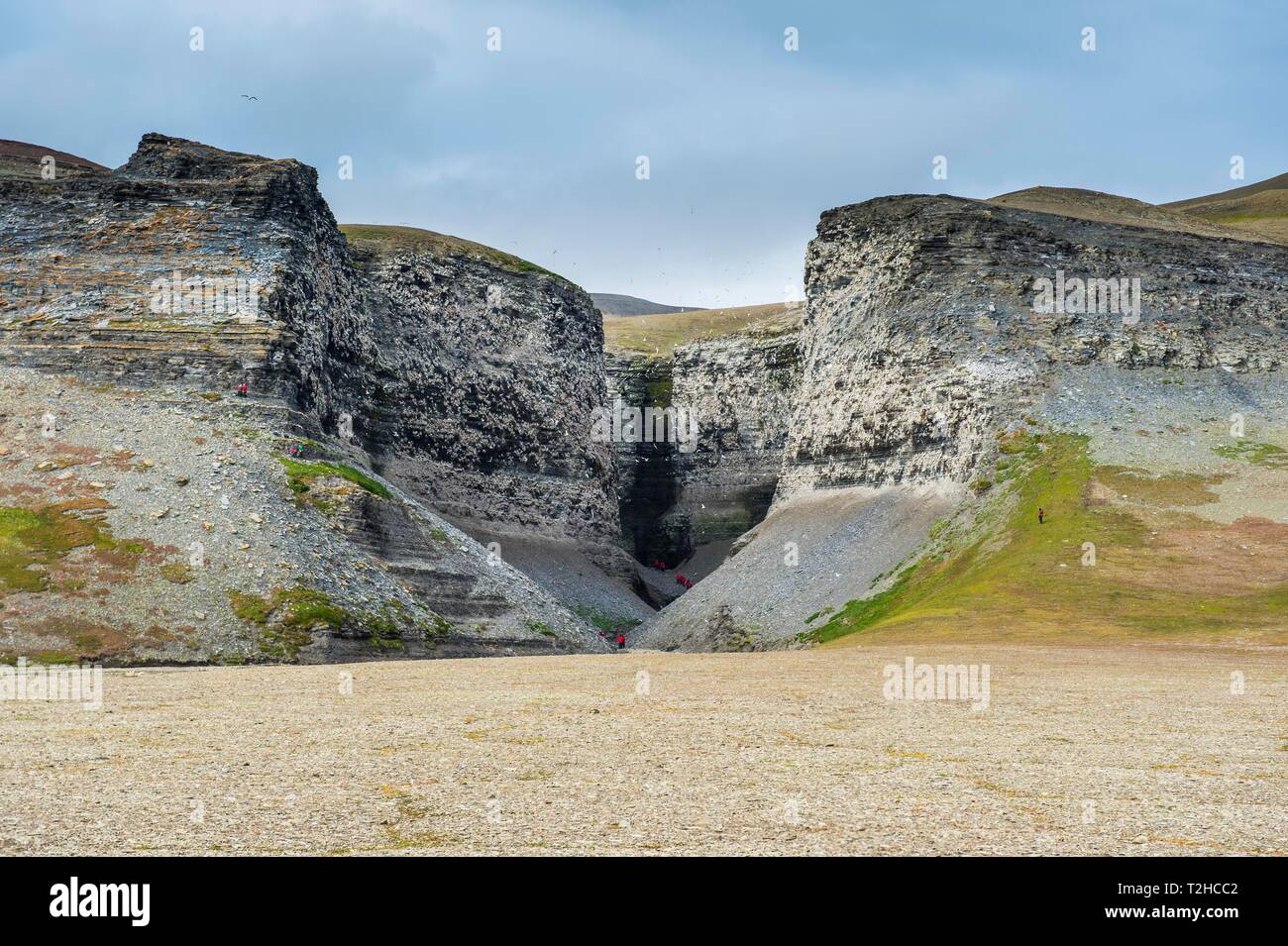 Touristen an den Klippen am Diskobukta mit schwarzen Beinen Dreizehenmöwe (Rissa tridactyla), Vogelkolonie, edgeoya Island, Spitzbergen, Arktis, Norwegen Stockfoto