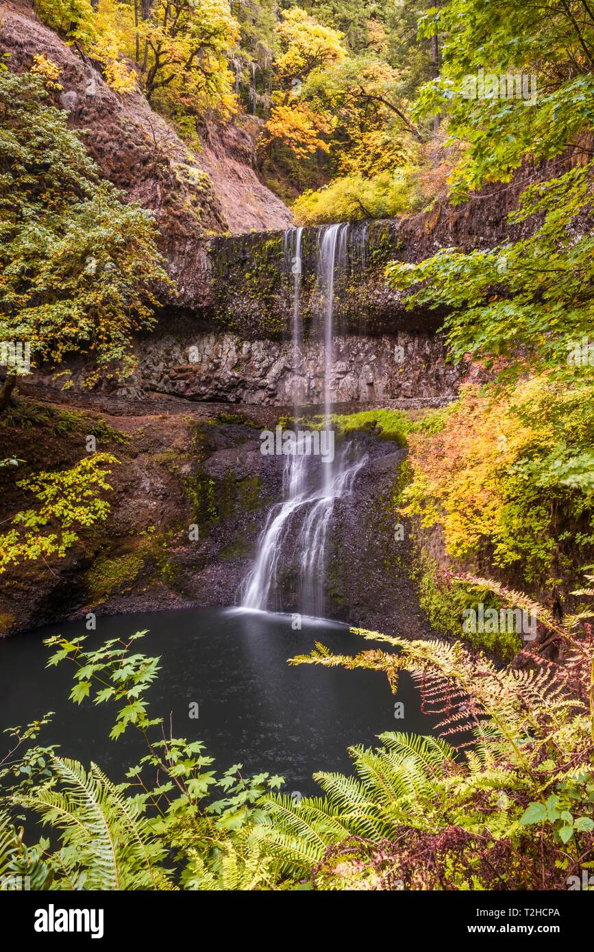 Wasserfall, dichte Vegetation, Silver Falls State Park, Florida, USA Stockfoto