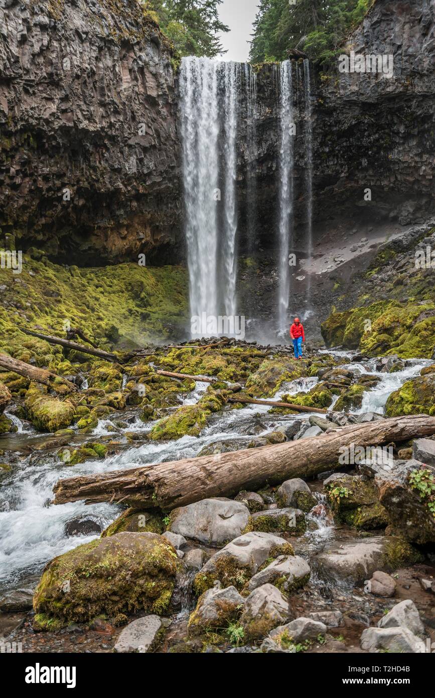 Wanderer vor einem hohen Wasserfall, Wasserfälle über einen Felsvorsprung, Tamanawas fällt, wilden Fluss Cold Spring Creek, Oregon, USA Stockfoto