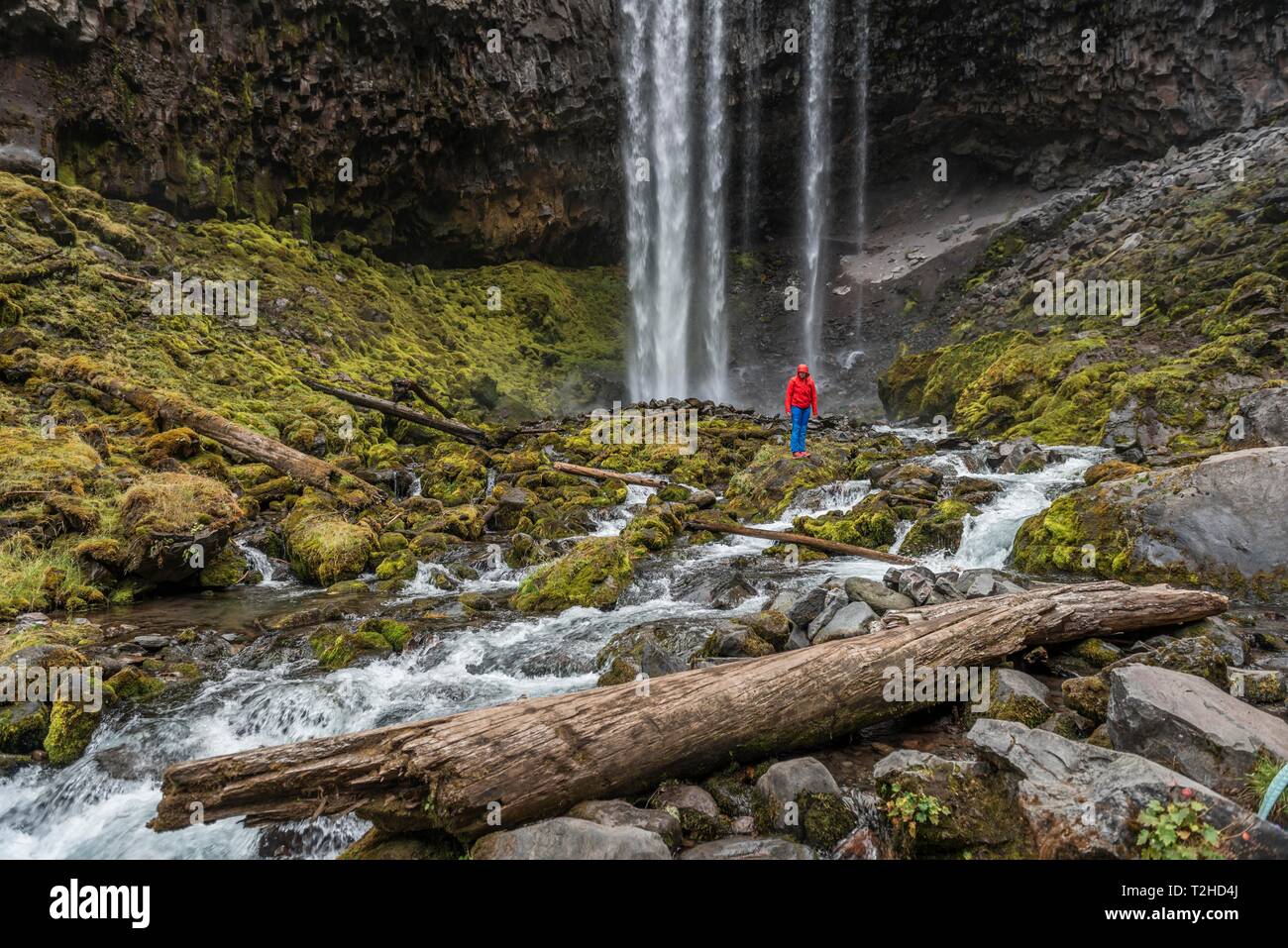 Junge Frau, Wanderer steht vor einem hohen Wasserfall, Wasser, fällt runter, Tamanawas fällt, wilden Fluss Cold Spring Creek, Oregon, USA Stockfoto