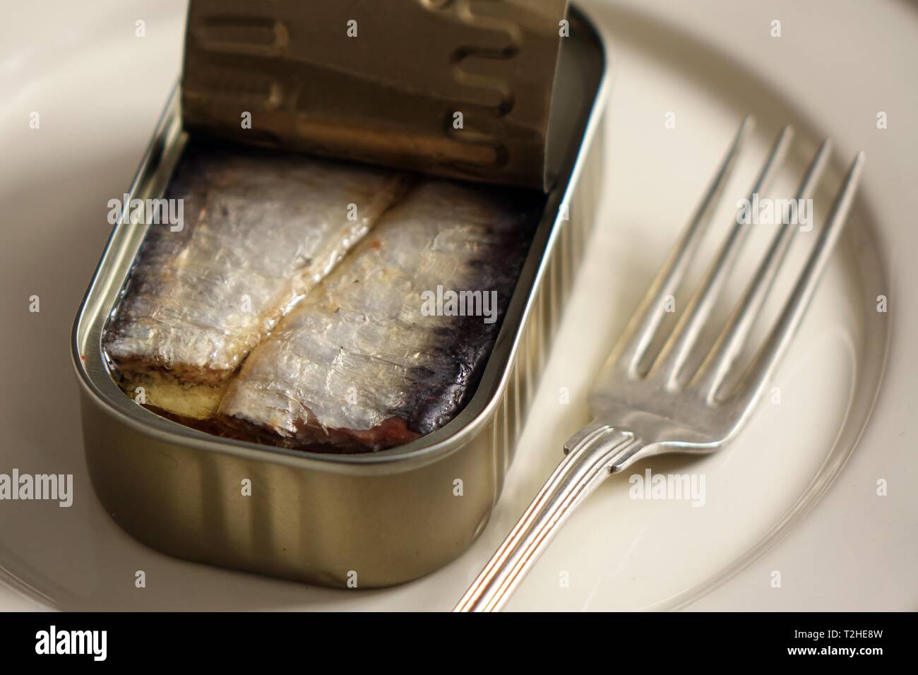 Sardinen in offenen Zinn auf weißer Teller mit Gabel, Deutschland Stockfoto