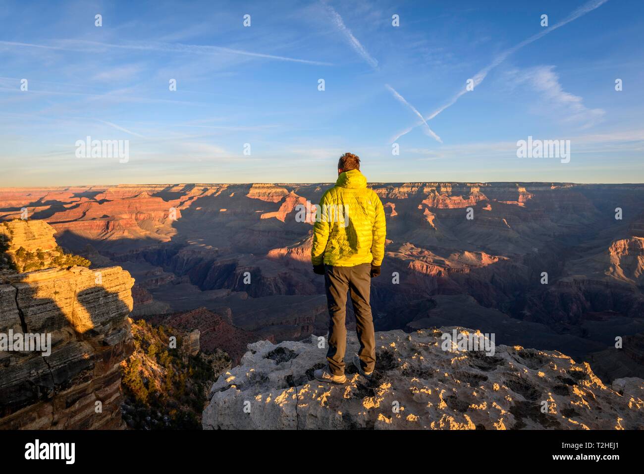 Junge Mann in der Ferne suchen, Schlucht des Grand Canyon, Canyon Landschaft, Blick von Rim laufen, erodierten Felsformationen, South Rim, Grand Canyon Stockfoto