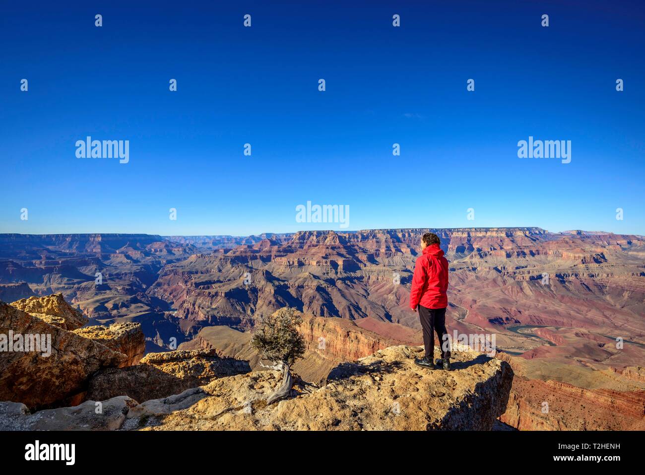 Junge Frau, Touristen in die Ferne schaut, steht vor der Schlucht des Grand Canyon, Colorado River, erodiert felsige Landschaft, South Rim Stockfoto