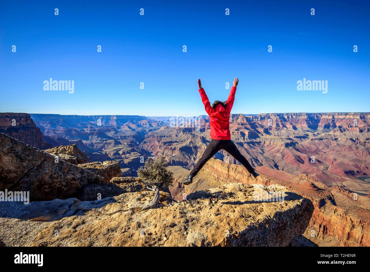 Junge Frau, Tourist springt vor Freude, vor der Schlucht des Grand Canyon, Colorado River, erodierten Felsformationen, South Rim, Grand Canyon Stockfoto