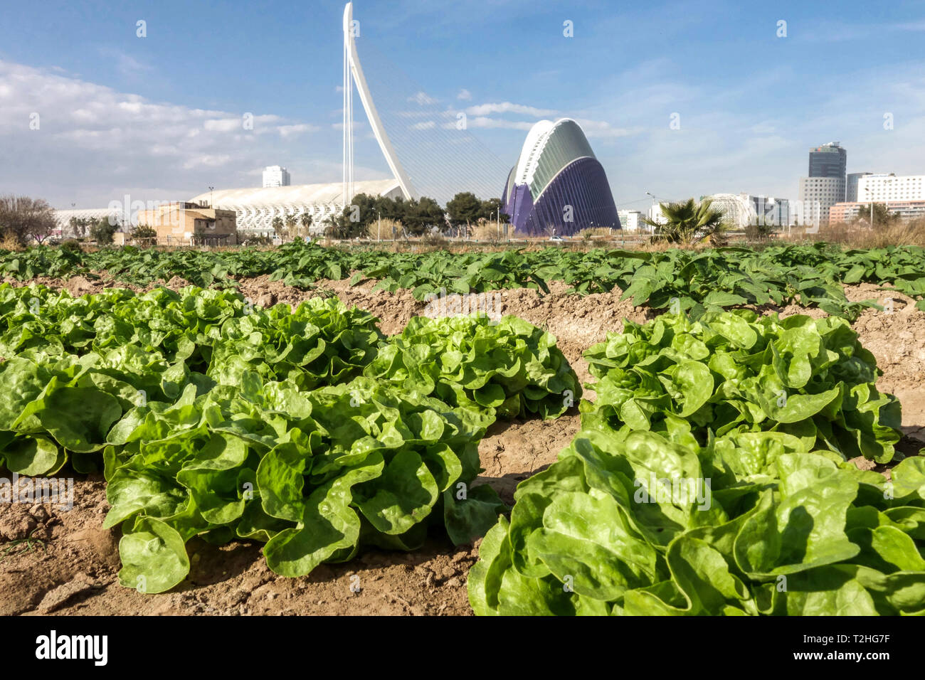 Spanische Landwirtschaft Stockfotos Und Bilder Kaufen Alamy