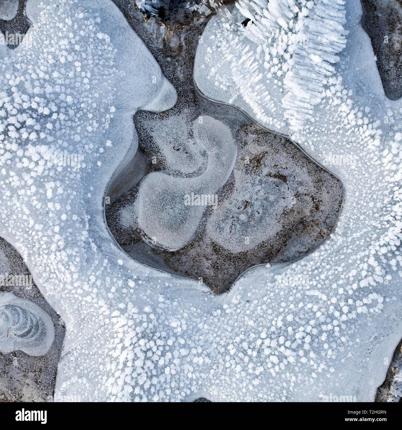 Eis, Eis Struktur in einem gefrorenen Pfütze, Deutschland Stockfoto