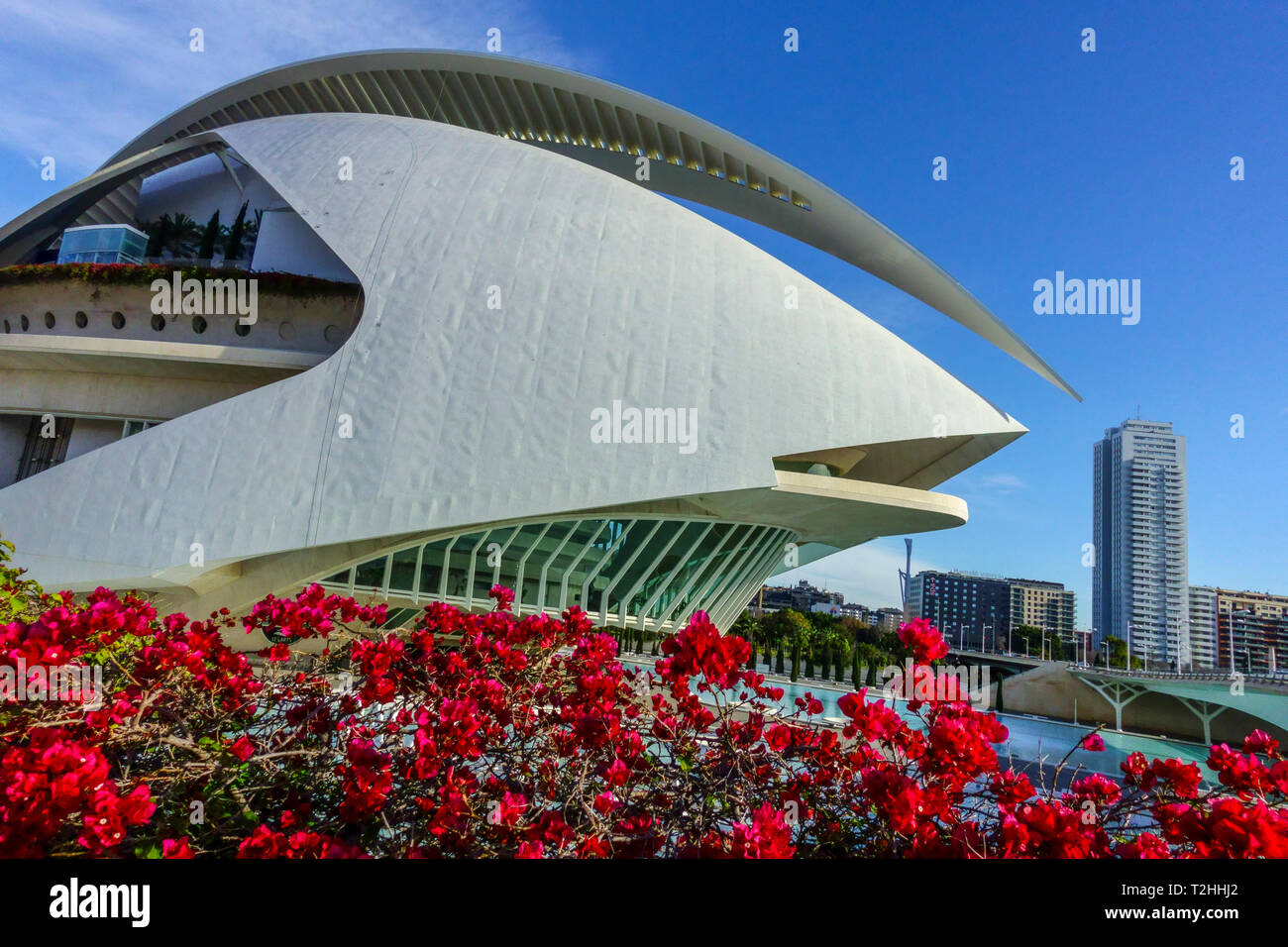 Valencia City of Science, El Palau de les Arts Reina Sofia und rot blühende Pelargonien Red Geranium, Spanien Europa Valencia Opera Flowers Stockfoto