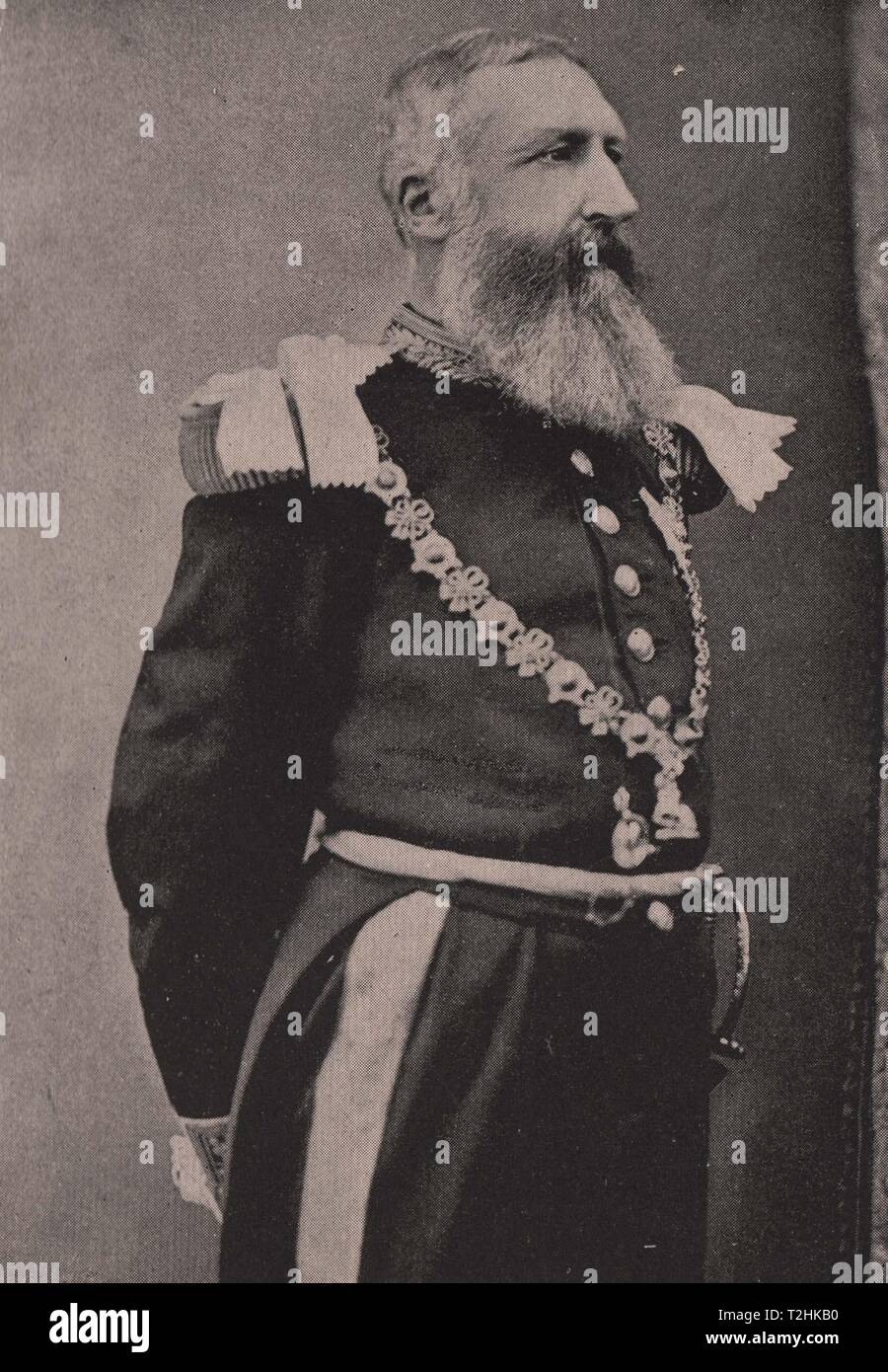 König Leopold II., Belgien Stockfoto