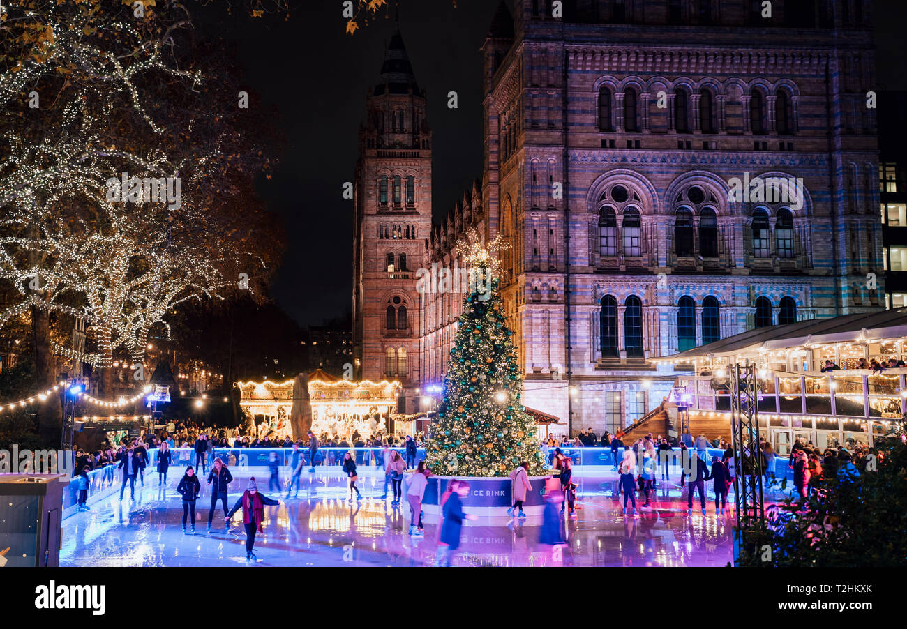 Weihnachtsbaum und Eislaufbahn in der Nacht außerhalb des Natural History Museum, Kensington, London, England, Vereinigtes Königreich, Europa Stockfoto