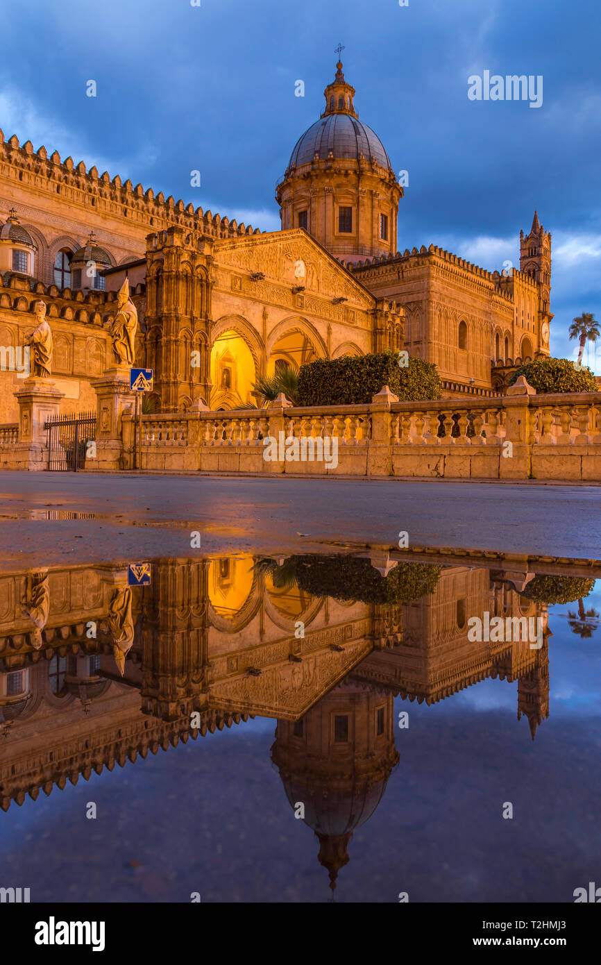 Die beleuchteten Kathedrale von Palermo (UNESCO-Weltkulturerbe) in einer Pfütze, Palermo, Sizilien, Italien, Europa Stockfoto