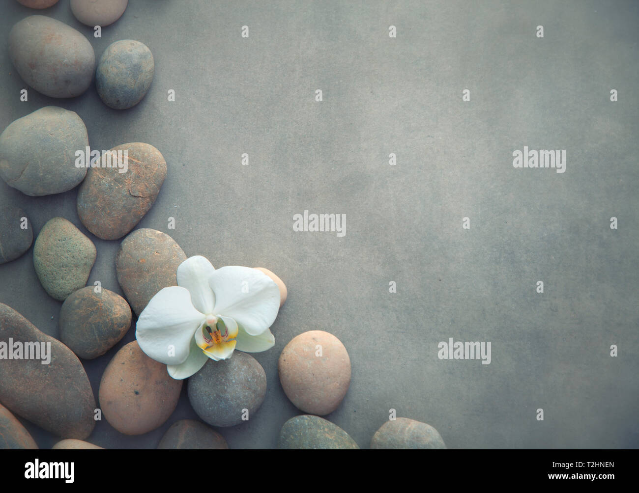 Spa-Konzept mit Basaltsteinen und weiße Orchidee. Sanfte Wellness- und Hintergrund Stockfoto