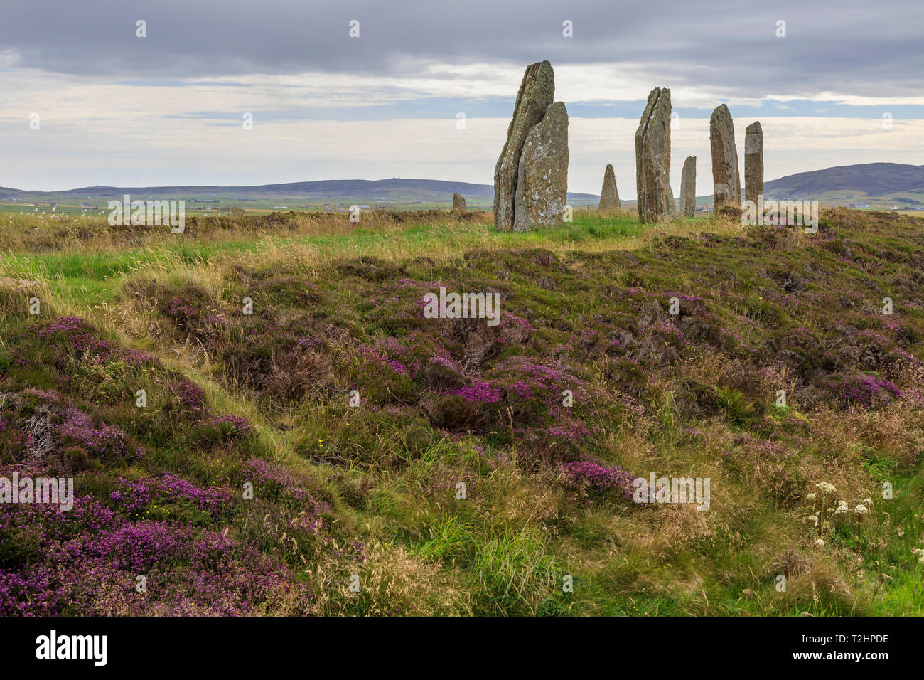 Ring von Brodgar Steinkreis in Orkney Inseln, Schottland, Europa Stockfoto