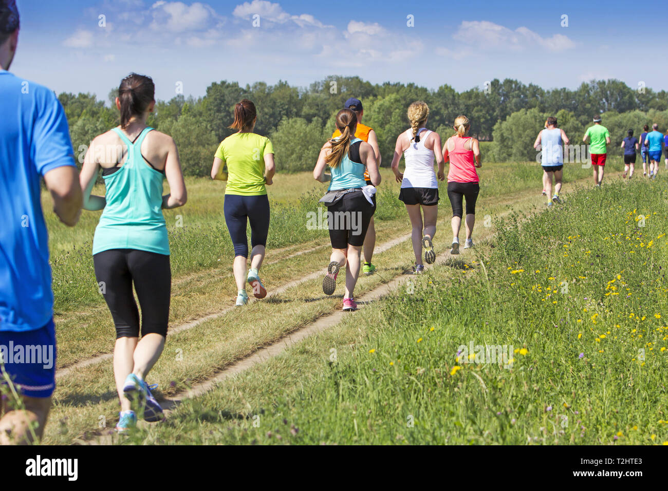 Eine Menge Leute auf Marathon läuft in der Natur Stockfoto