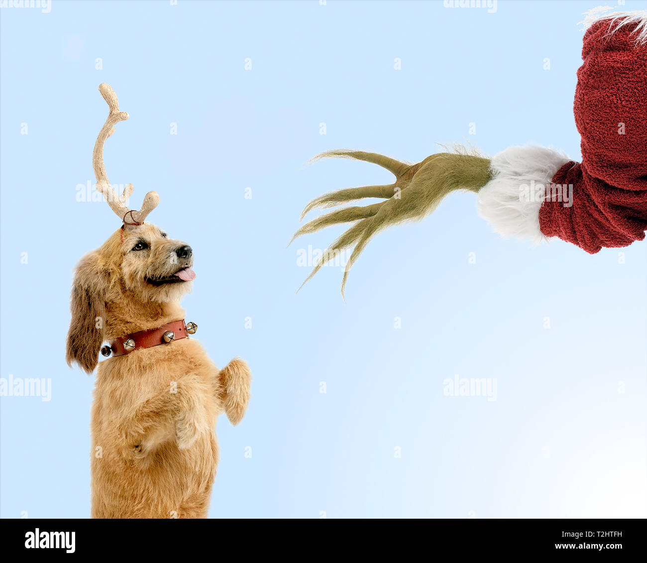 Der Grinch mit Max der Hund Stockfotografie   Alamy