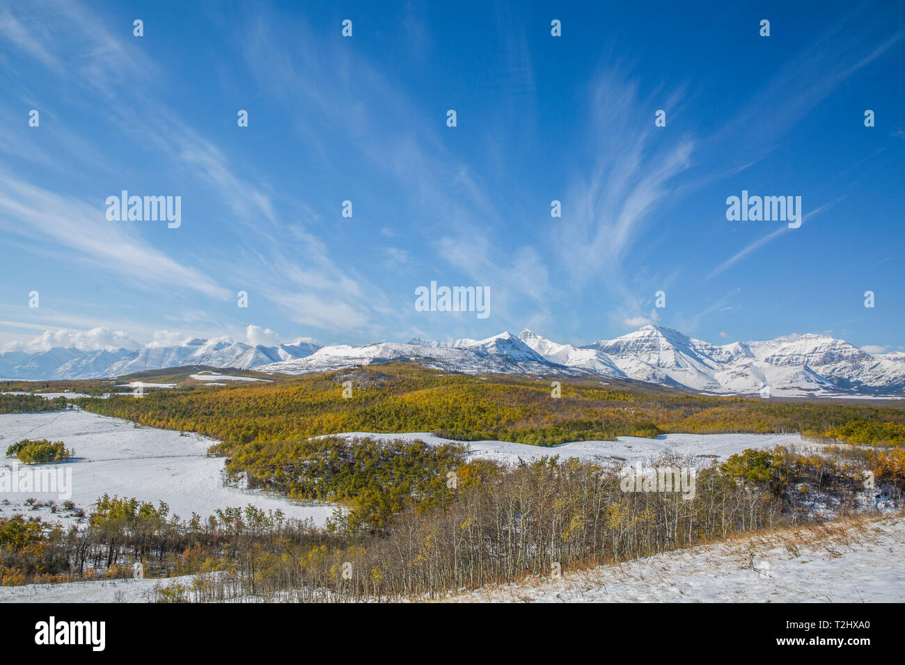 Rocky Mountains in Alberta Stockfoto