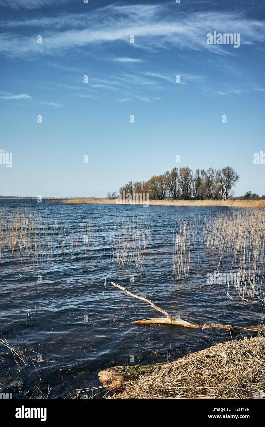 Landschaft am See mit Schilf, Farbe Tonen angewendet. Stockfoto