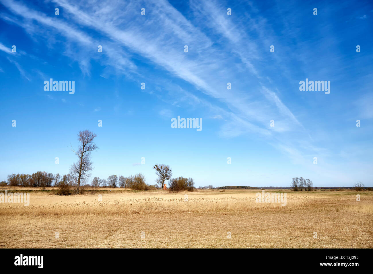 Bild von einer Feder der ländlichen Landschaft. Stockfoto