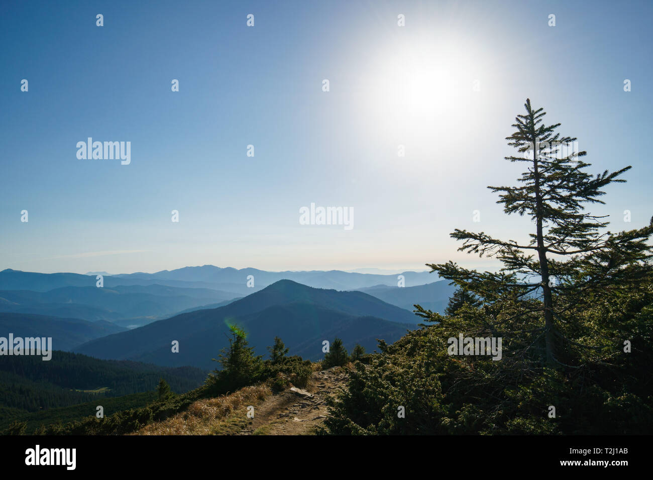 Landschaft der Ukrainischen Karpaten. Der Berg ist in der östlichen Beskiden, in der Chornohora Region. Sonnigen Tag in den Karpaten Stockfoto