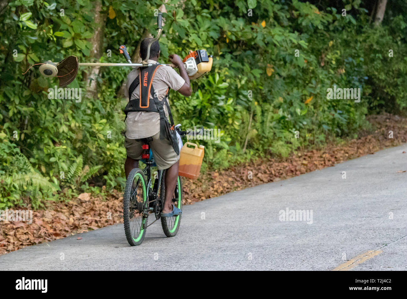 Praslin, Seychellen - Februar 5., 2019: ein Mann auf einem Fahrrad, mit einem schnurlosen Rasentrimmer auf den Seychellen. Stockfoto