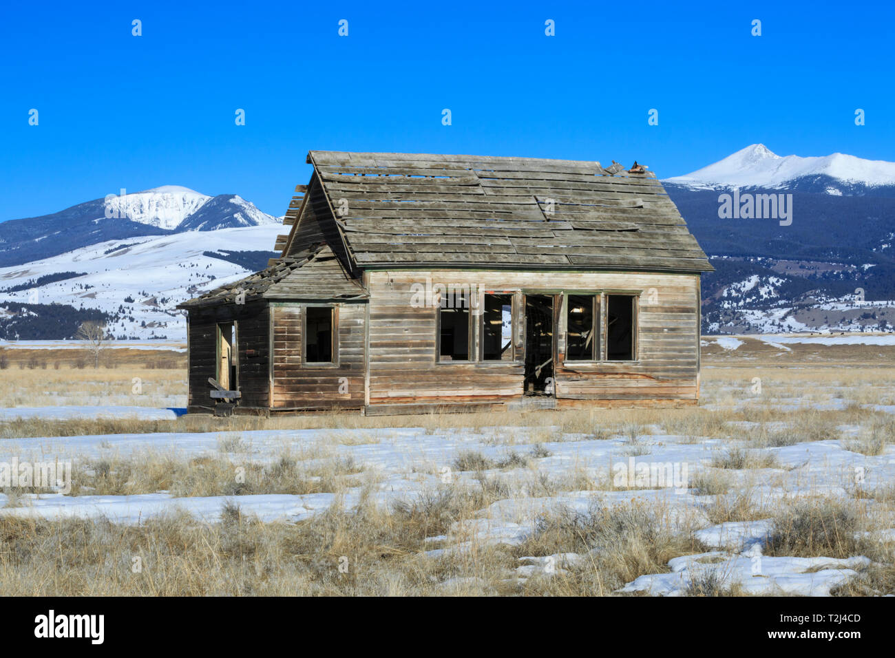 Altes Gehöft Kabine unterhalb der Flint Creek Bereich in der Nähe von Deer Lodge, Montana Stockfoto