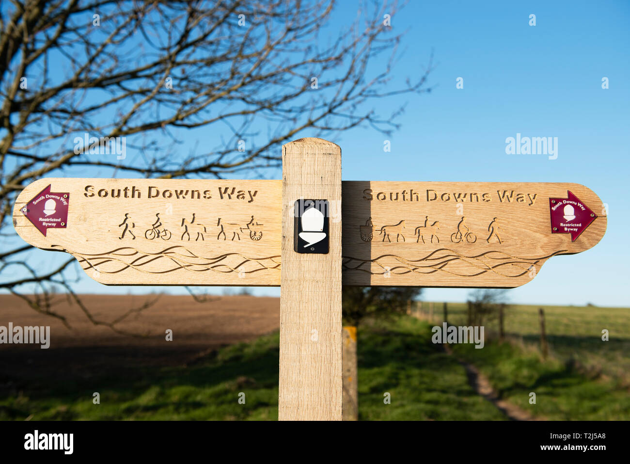 Eine neu installierte geschnitzten Wegweiser auf der South Downs Way, South Downs National Park, West Sussex Stockfoto