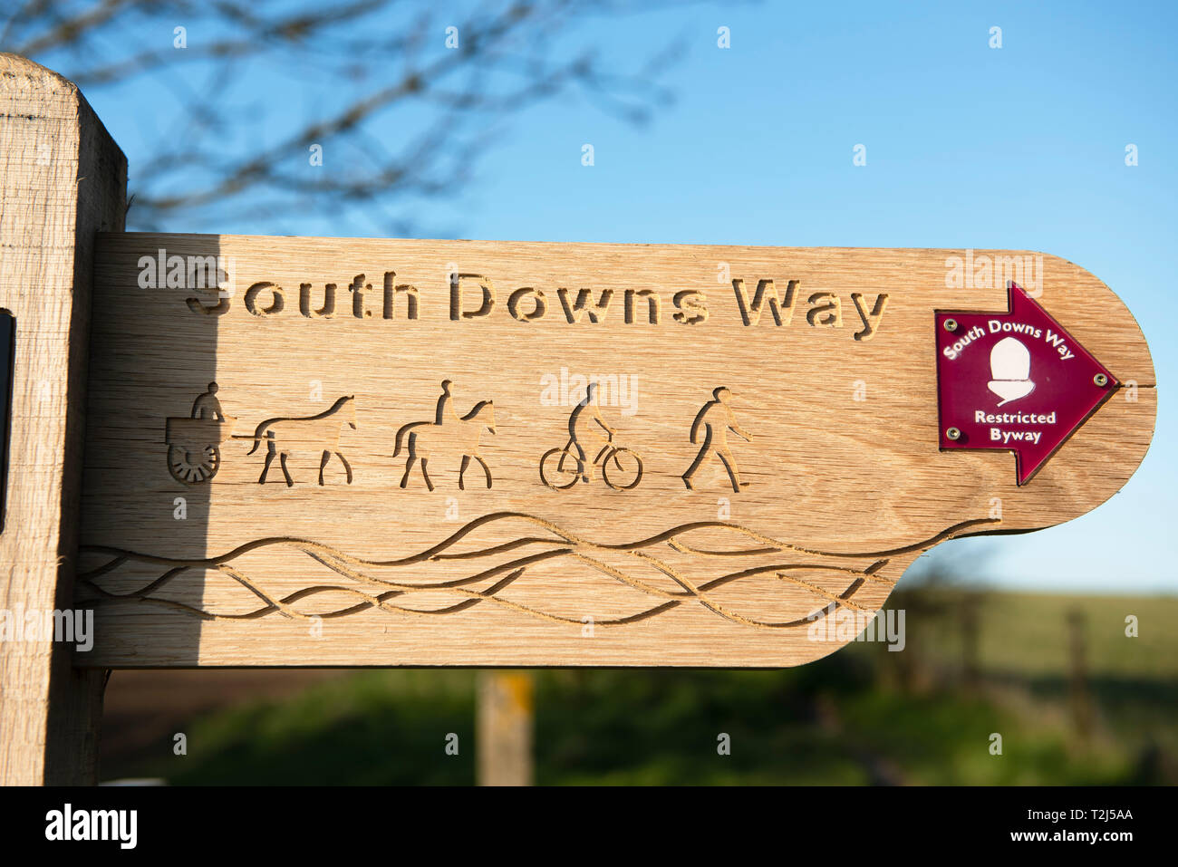 Eine neu installierte geschnitzten Wegweiser auf der South Downs Way, South Downs National Park, West Sussex Stockfoto