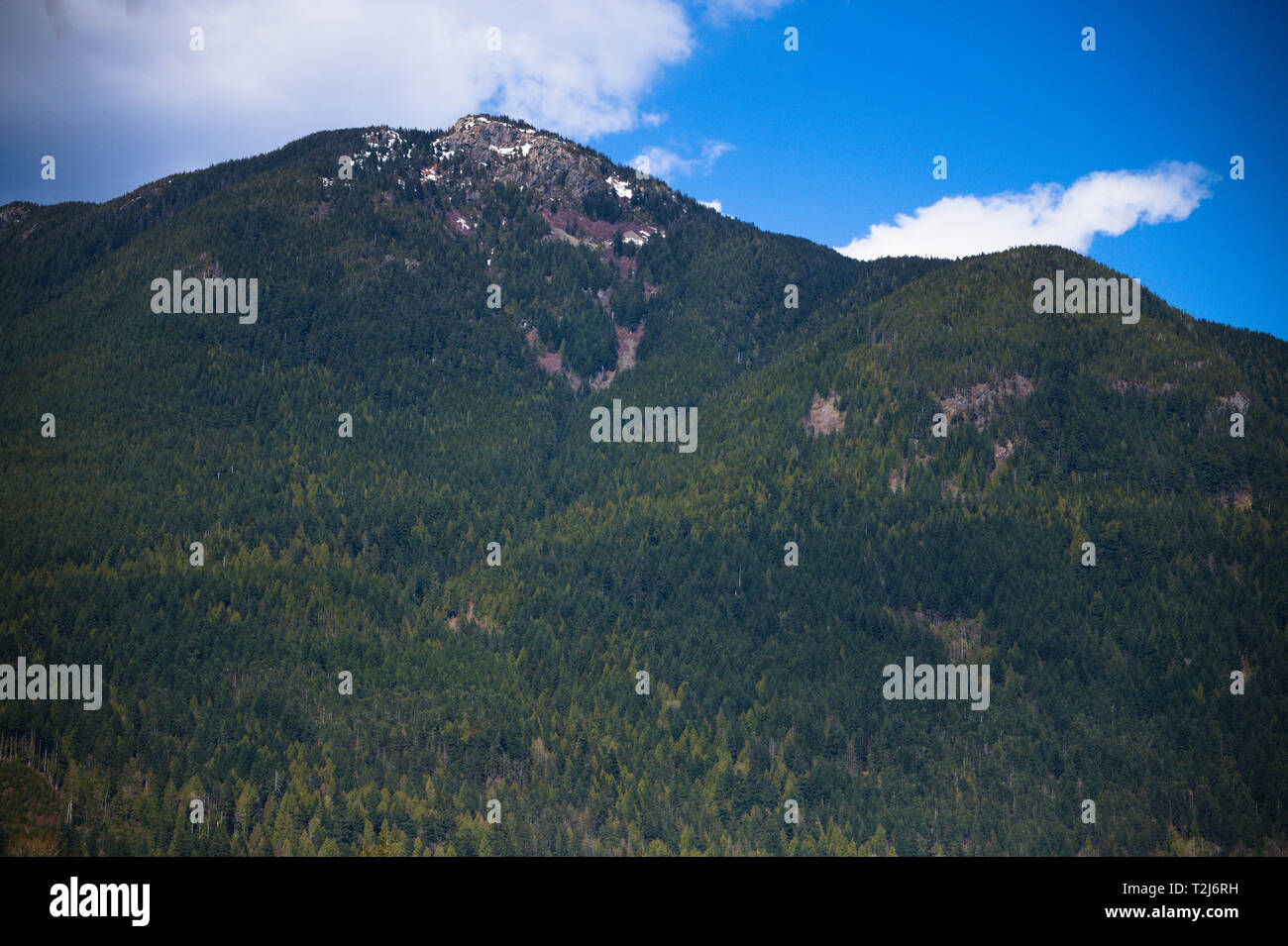 Berge in Lake Errock in Deroche, Mission, British Columbia, Kanada Stockfoto