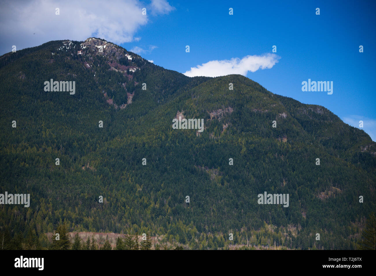 Berge in Lake Errock in Deroche, Mission, British Columbia, Kanada Stockfoto