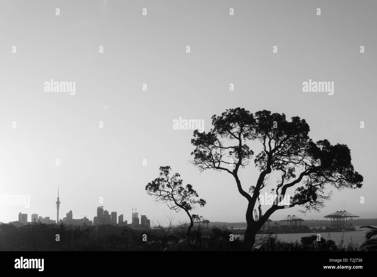 Auckland, Neuseeland. Blick auf den Central Business District bei Sonnenuntergang Stockfoto