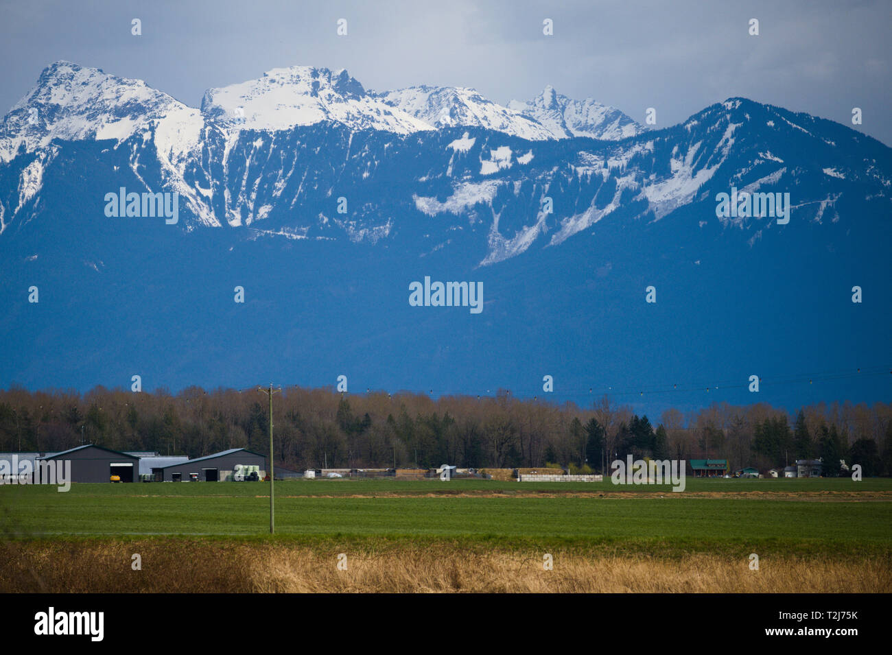Die Berge an der Küste von British Columbia überblicken Farmen im Central Fraser Valley in Dewdney, Mission, British Columbia, Kanada Stockfoto