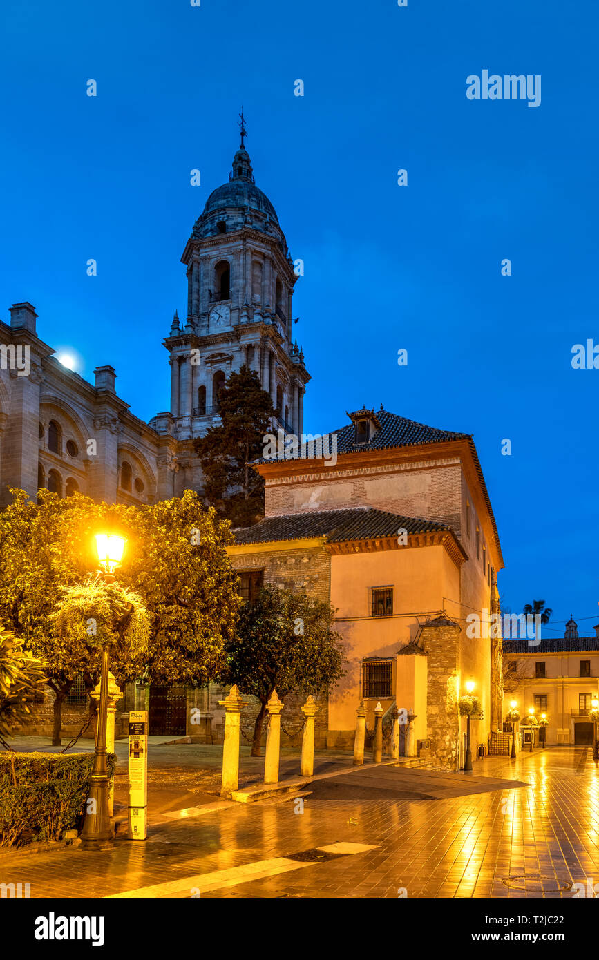 Altstadt Straße bei Nacht mit Kathedrale, Malaga, Andalusien, Spanien Stockfoto