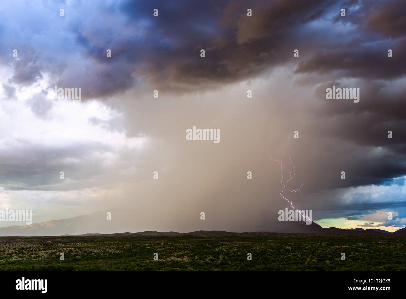 Ein Blitz trifft einen Grat, während sich ein Gewitter mit starkem Regen und dunklen Wolken über den Rincon Mountains in der Nähe von Vail, Arizona, USA, entwickelt Stockfoto
