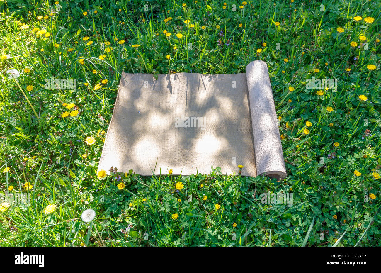 Touristische Wolldecke auf der Waldwiese mit grünem Gras an einem warmen, sonnigen Sommertag Stockfoto