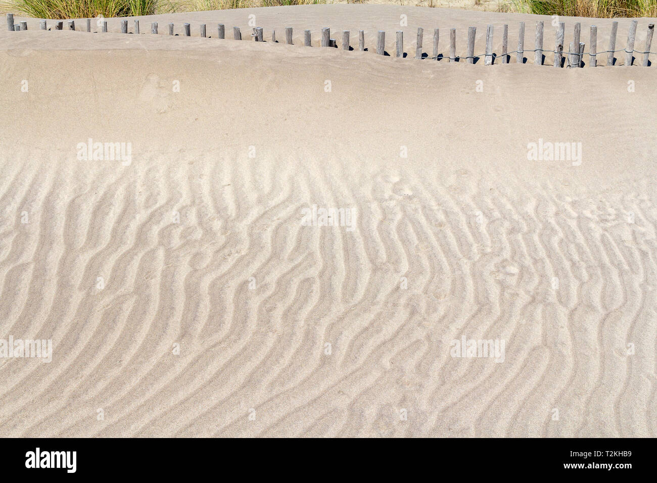 Rippled Strand Landschaft der Camargue, eine Region im Süden Frankreichs Stockfoto