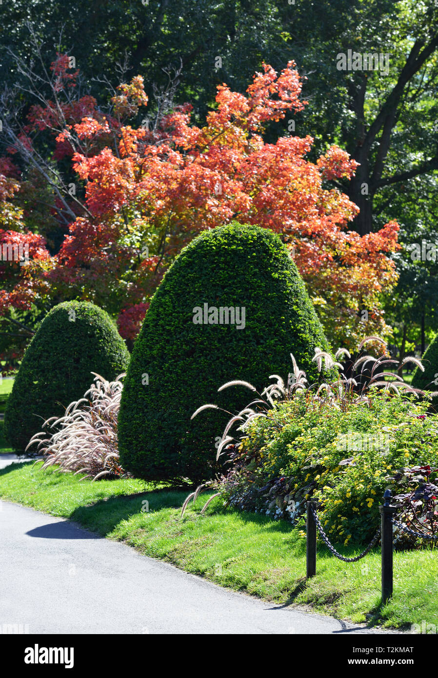 Boston Public Garden im Herbst, Detail Stockfoto