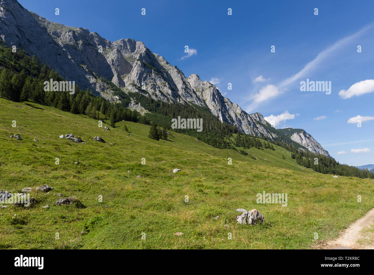 Wanderung von Bindalm zur Halsalm und zurück zum Hintersee. Stockfoto