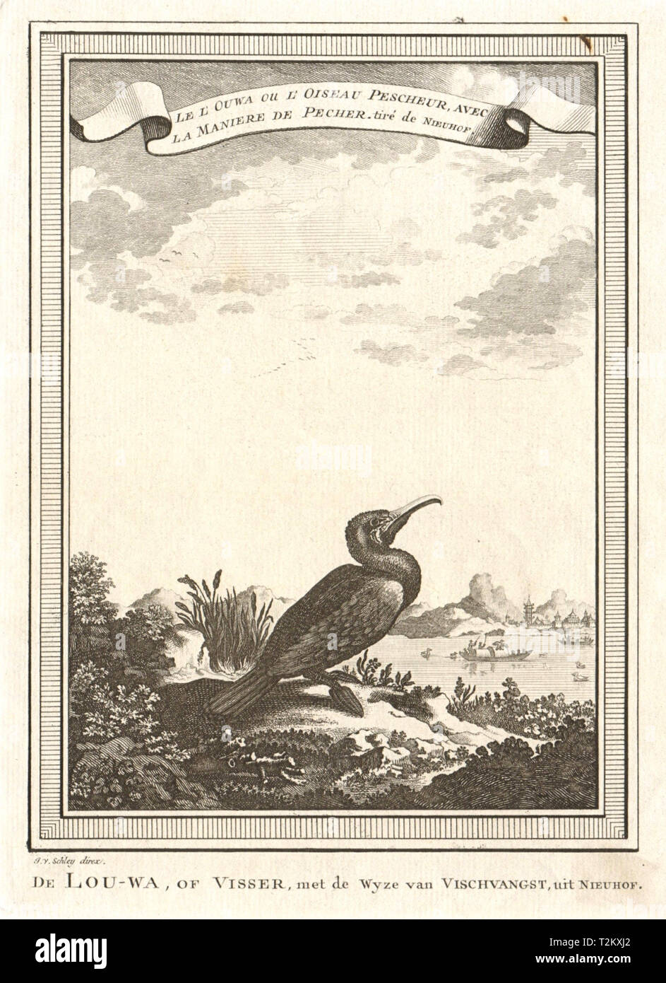 China. Der Kormoran oder angeln Vogel, mit der Methode der Fischerei. SCHLEY 1749 Stockfoto