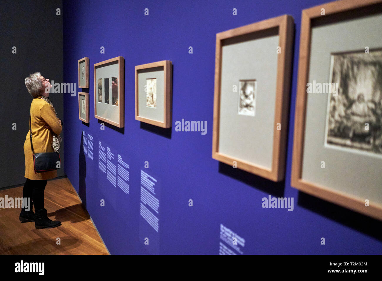 Die Besucher des Rijksmuseum beobachten unbekannte Zeichnungen und Skizzen von Rembrandt. 2019 markiert den 350. Jahrestag der Rembrandts Tod. Stockfoto
