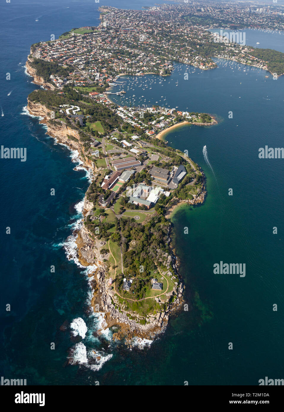Luftaufnahme von South Head und Watsons Bay am Eingang zum Hafen von Sydney - Sydney, NSW, Australien. Stockfoto